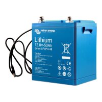 Batterie LiFePO4 12,8 V/50 Ah Smart